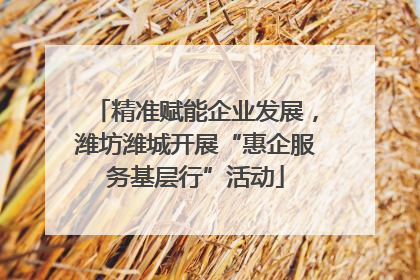 精准赋能企业发展，潍坊潍城开展“惠企服务基层行”活动